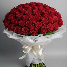 Букет 101 Красная роза Блэк Мэджик в Боброво