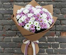 Букет цветов из:  Хризантемы #REPLACE_PRED# Боброво