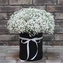 Цветочная композиция из Гипсофила в шляпной коробке в Боброво
