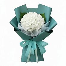 Букет цветов из:  Гортензия #REPLACE_PRED# Боброво